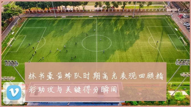 林书豪黄蜂队时期高光表现回顾精彩助攻与关键得分瞬间