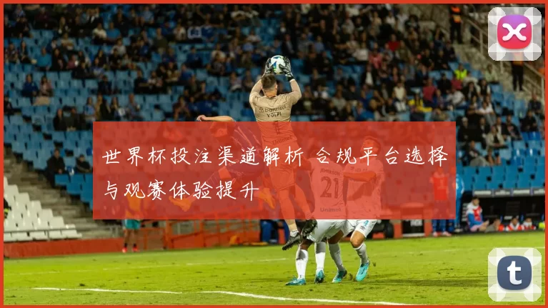 世界杯投注渠道解析 合规平台选择与观赛体验提升