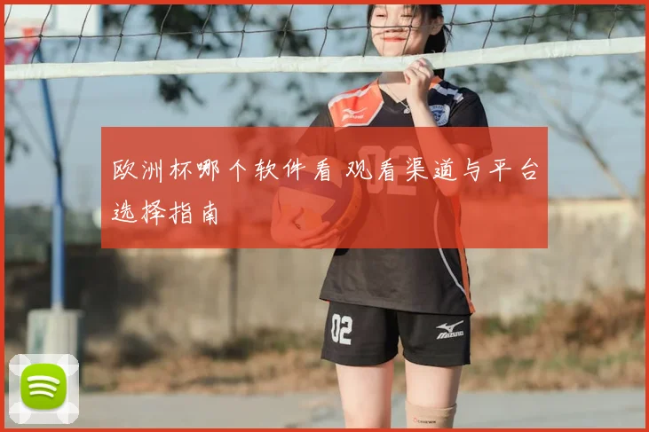 欧洲杯哪个软件看 观看渠道与平台选择指南