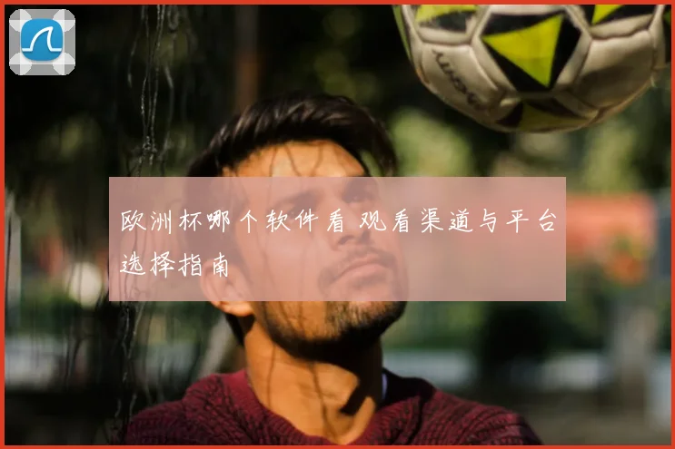 欧洲杯哪个软件看 观看渠道与平台选择指南